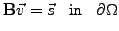 $\displaystyle \mathbf{B}\vec{v}=\vec{s}\;\;\;\textnormal{in}\;\;\; \partial\Omega$